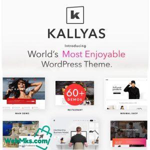 KALLYAS – Creative eCommerce Multi-Purpose WordPress Theme